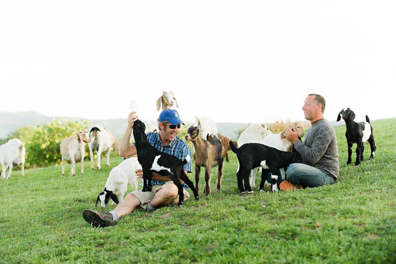 Hotel Reves De Moutons Paso Robles Zewnętrze zdjęcie