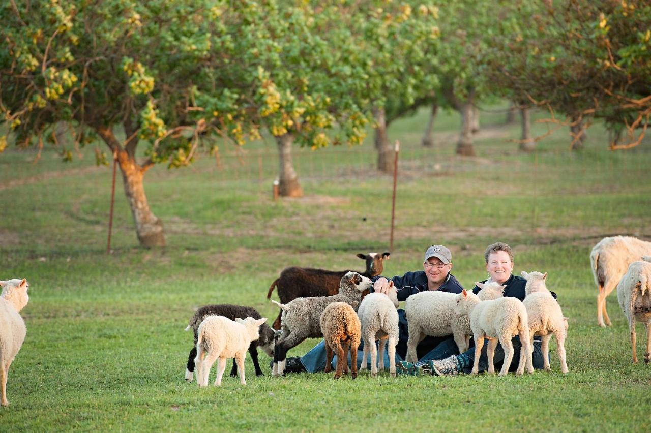 Hotel Reves De Moutons Paso Robles Zewnętrze zdjęcie