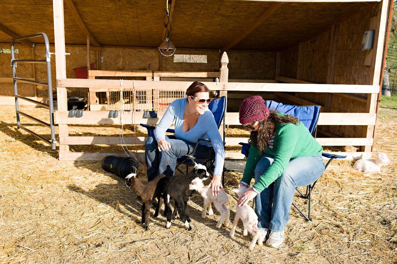 Hotel Reves De Moutons Paso Robles Zewnętrze zdjęcie