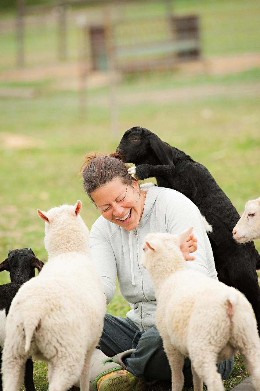 Hotel Reves De Moutons Paso Robles Zewnętrze zdjęcie