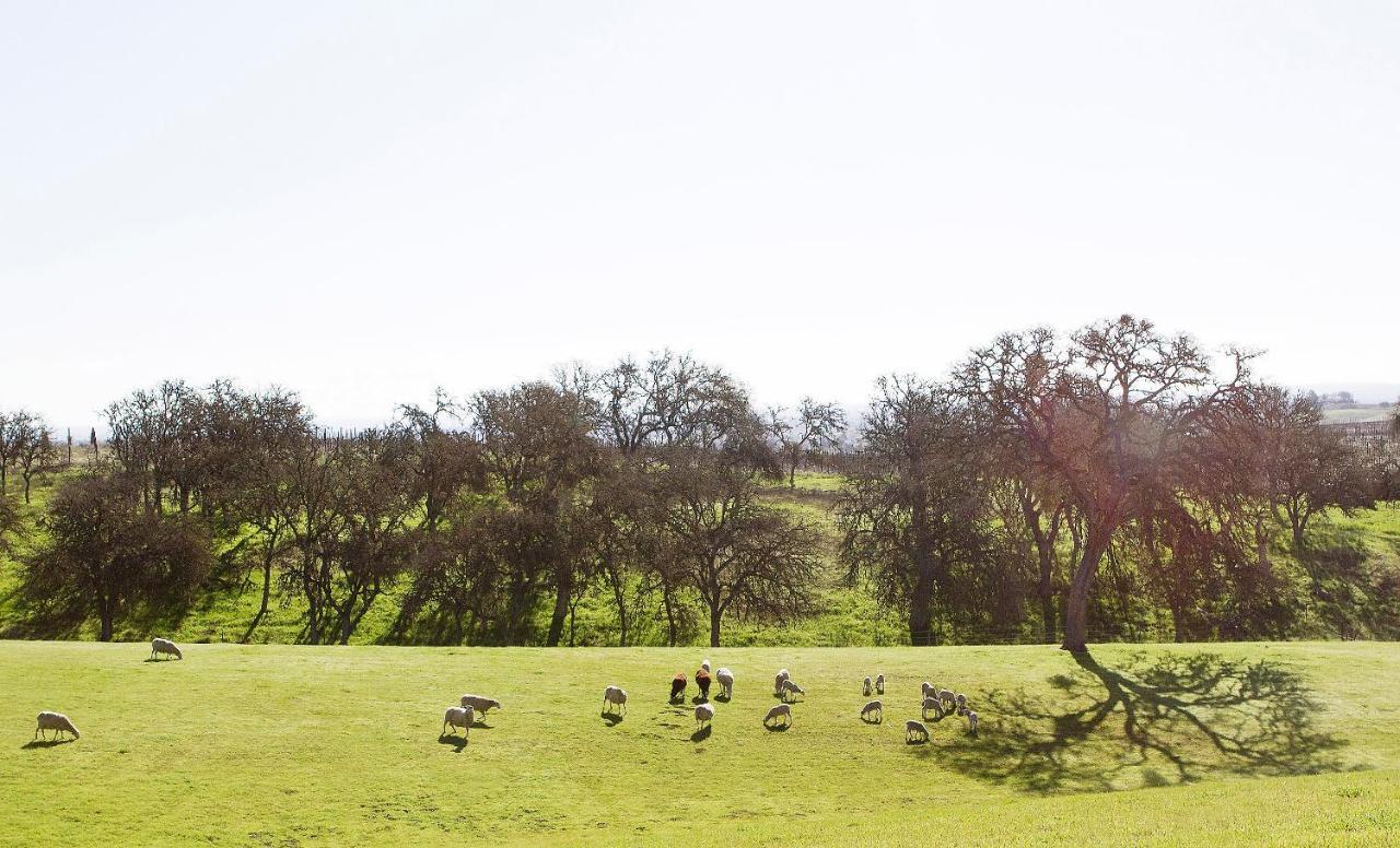 Hotel Reves De Moutons Paso Robles Zewnętrze zdjęcie