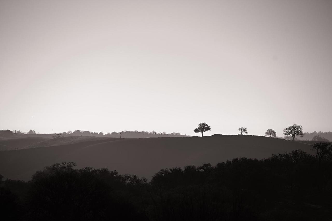 Hotel Reves De Moutons Paso Robles Zewnętrze zdjęcie